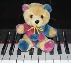 Bennington Bear on a piano keyboard