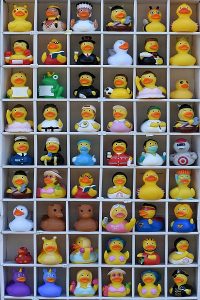 Duck photo: a display of duckies.