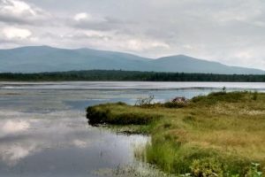 Water with green grass in the foreground.