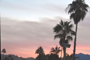 Sunset with palm trees and dark clouds